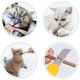 thumbnail image 2 of Palillo para masticar para gatos, palitos Silvervine para gatos, juguetes con hierba gatera, juguete para limpiar los dientes, varita interactiva, 2 unidades, 2 of 5