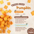 thumbnail image 2 of TUGLET Freeze-Dried Pumpkin Dog Treats – High Fiber, Single Ingredient Natural Snacks for Digestion & Gut Health, Healthy Food Toppers, 1.58oz, 2 of 7