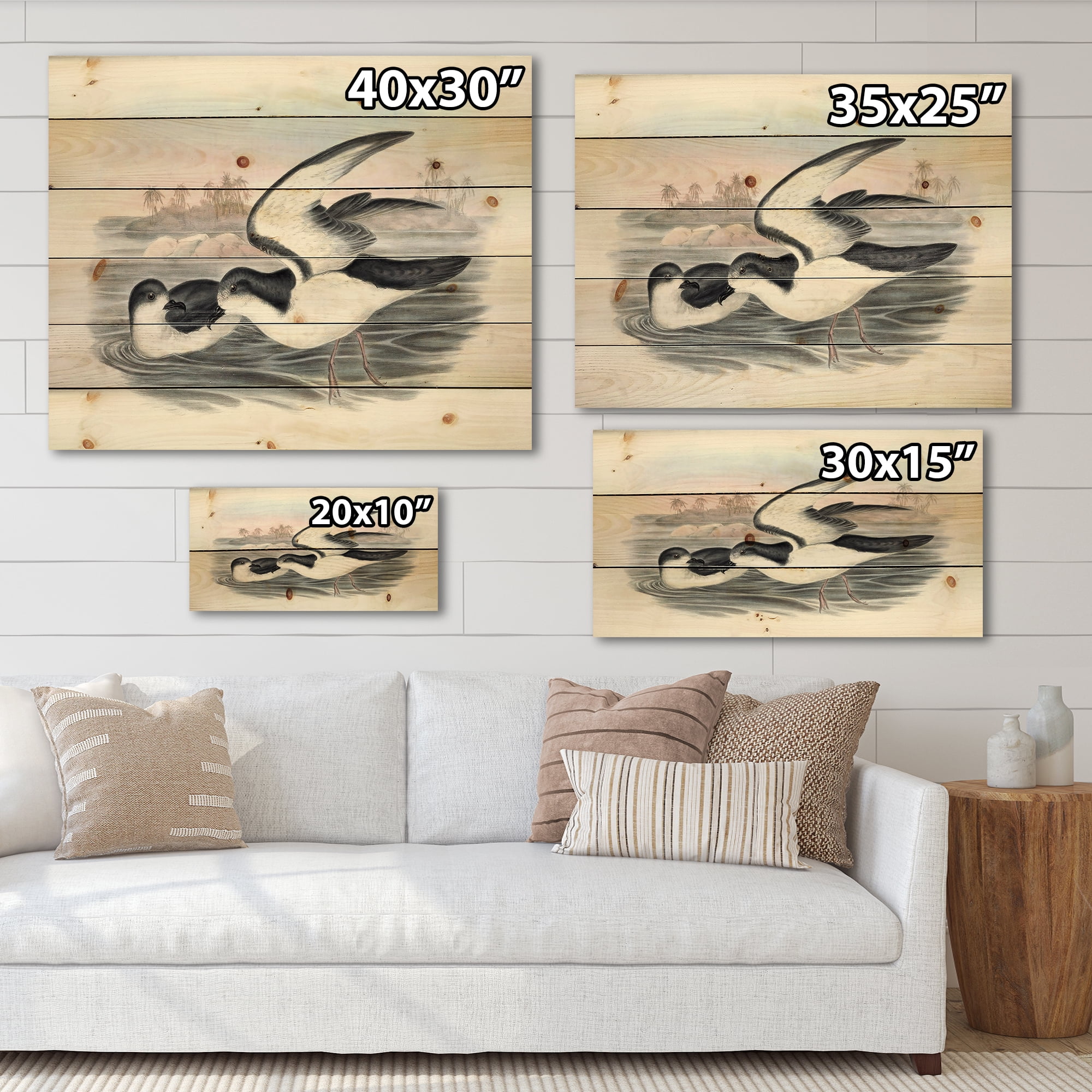 Designart 'Ancient Australian Birds X' Traditional Print on Natural Pine Wood