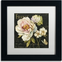 Trademark Fine Art "Marche de Fleurs on Black" Canvas Art by Lisa Audit, White Matte, Black Frame