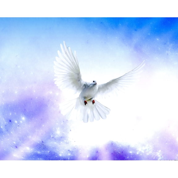 Catholic print picture - Holy Spirit Dove R - 8" x 10" ready to be framed