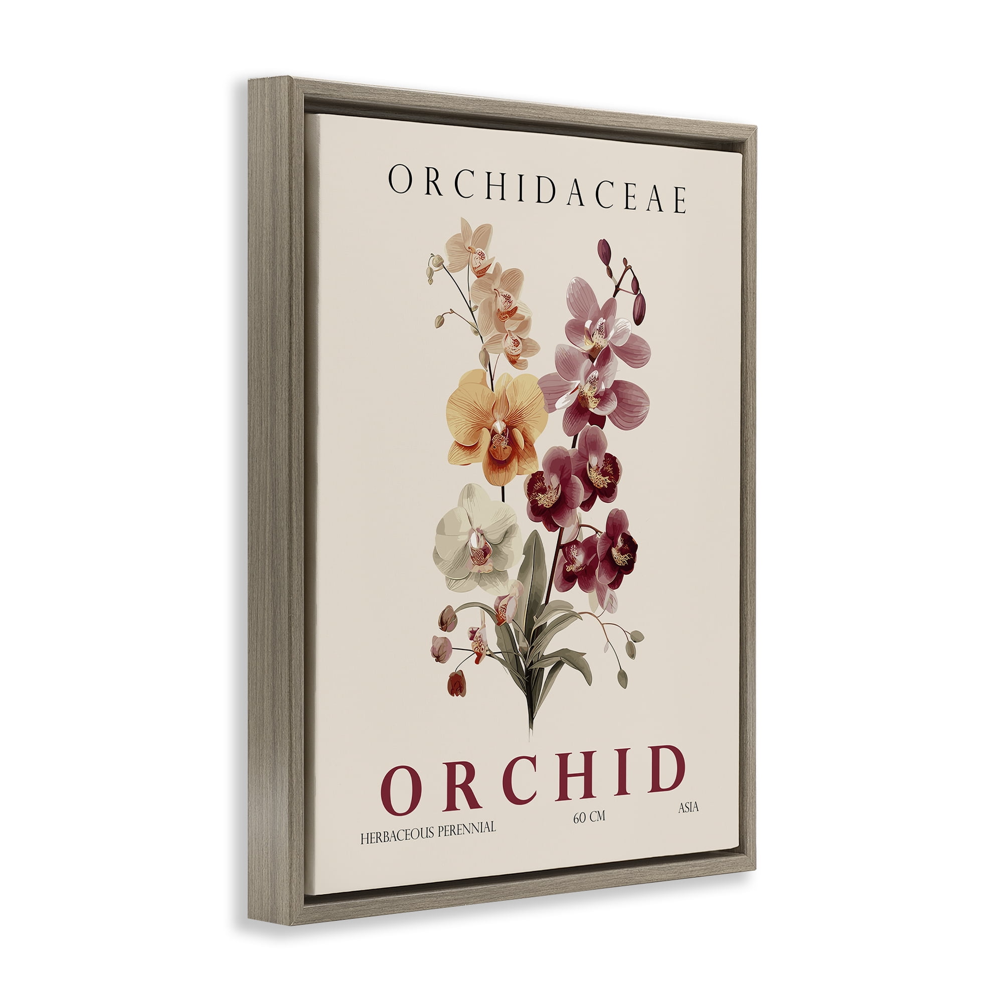 Stupell Industries Natural Orchid Bundle Brown Framed Floater Canvas Wall Art, design by Christopher Giampietro