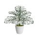 thumbnail image 2 of Planta Bonsái Artificial de Monstera Deliciosa para Interiores con Ramas Ajustables, Follaje Realista, 45cm para Decoración de Hogar, Oficina y Dormitorio, 2 of 7