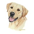 thumbnail image 2 of CafePress - Yellow Labrador Retriever Mug - 11 oz Ceramic Mug - Novelty Coffee Tea Cup, 2 of 4