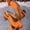 Orange, variant on OKBOP Slingback heels for women Heeled Flat heels for women Closed Toe Medium Arch Slip-Resistant heels for women Chunky Low Heel Arch Support