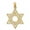 Yellow, variant on 14K Yellow Gold Polished Textured Solid Star of David Pendant