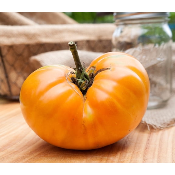 Amana Huge Orange Beefsteak Heirloom Tomato Premium Seeds Packet