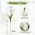 thumbnail image 5 of 20Pcs White Tulips Real Touch Artificial Flowers Fake Tulips Arrangement Bouquet for Home Kitchen Office Wedding Spring Holidays Valentine's Day Decor by Scheam, 5 of 9