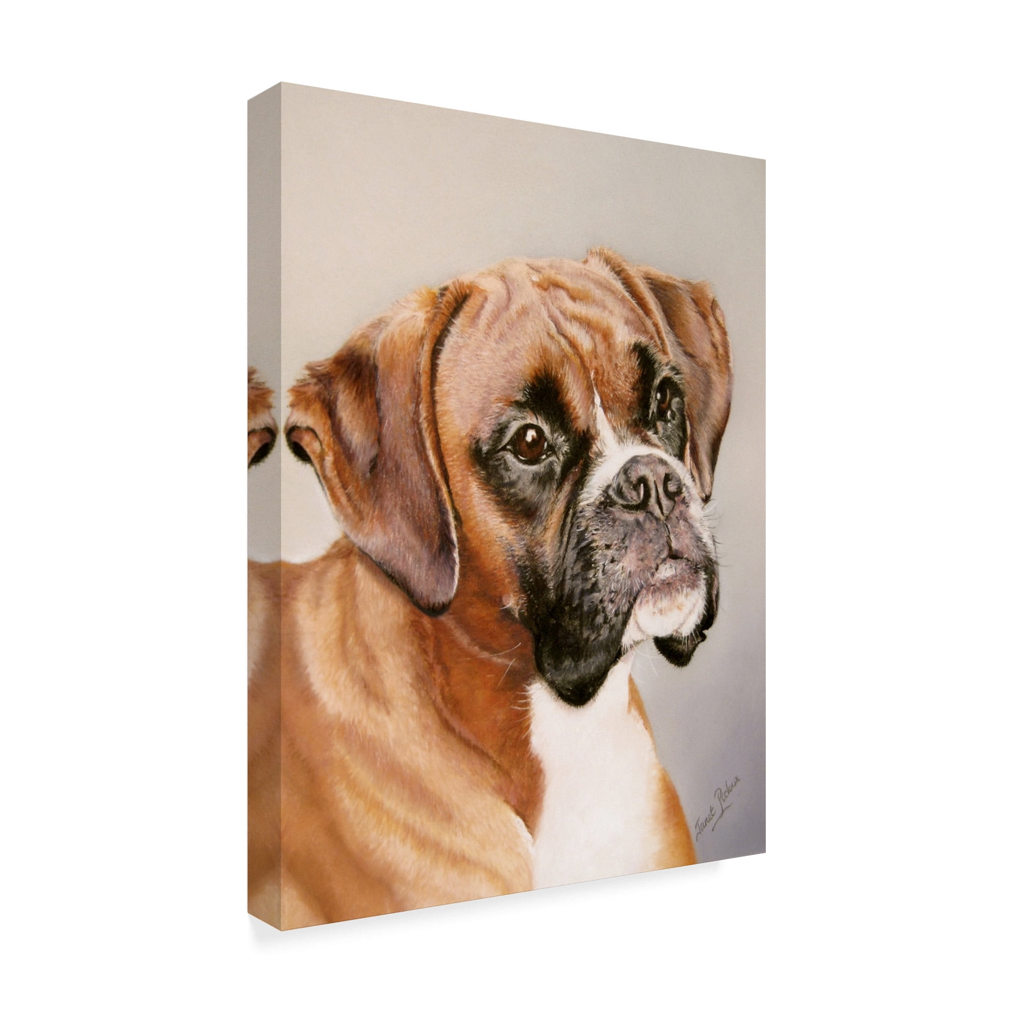 Trademark Fine Art 'Boxer Gray' Canvas Art by Janet Pidoux