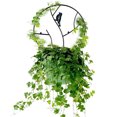thumbnail image 4 of Estante trepador de vid, estante trepador de vid, marco de soporte para plantas de hierro, enrejado de plantas de verduras de hierro, diseño de última generación, 4 of 9
