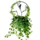 thumbnail image 4 of Marco De Hierro Para Plantas Trepadoras, Forma Redonda, Antioxidante Y Duradero, Soporte Estable Para Enredaderas En Flor, Decoración De Jardines Interiores Y Exteriores, 4 of 8