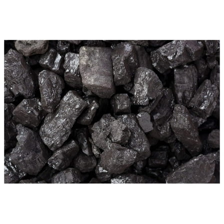 Bituminous Coal (5lbs.) Chunks