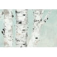 thumbnail image 2 of Cusson, Marie-Elaine 32x23 Gold Ornate Wood Framed with Double Matting Museum Art Print Titled - Birch Tree Close Up, 2 of 4