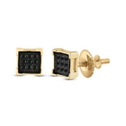 Saris and Things Yellow-tone Sterling Silver Mens Round Black Color Enhanced Diamond Square Earrings 1/20 Cttw