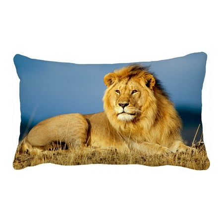 GCKG African Lion Pillow Case Pillow Cover Pillow Protector Two Sides 20 x 30