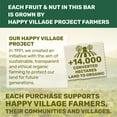 thumbnail image 6 of Happy Village Organic Fig & Nut Chewy Snack Bars, Variety Pack, 1.4 oz, 24 Count, 6 of 6