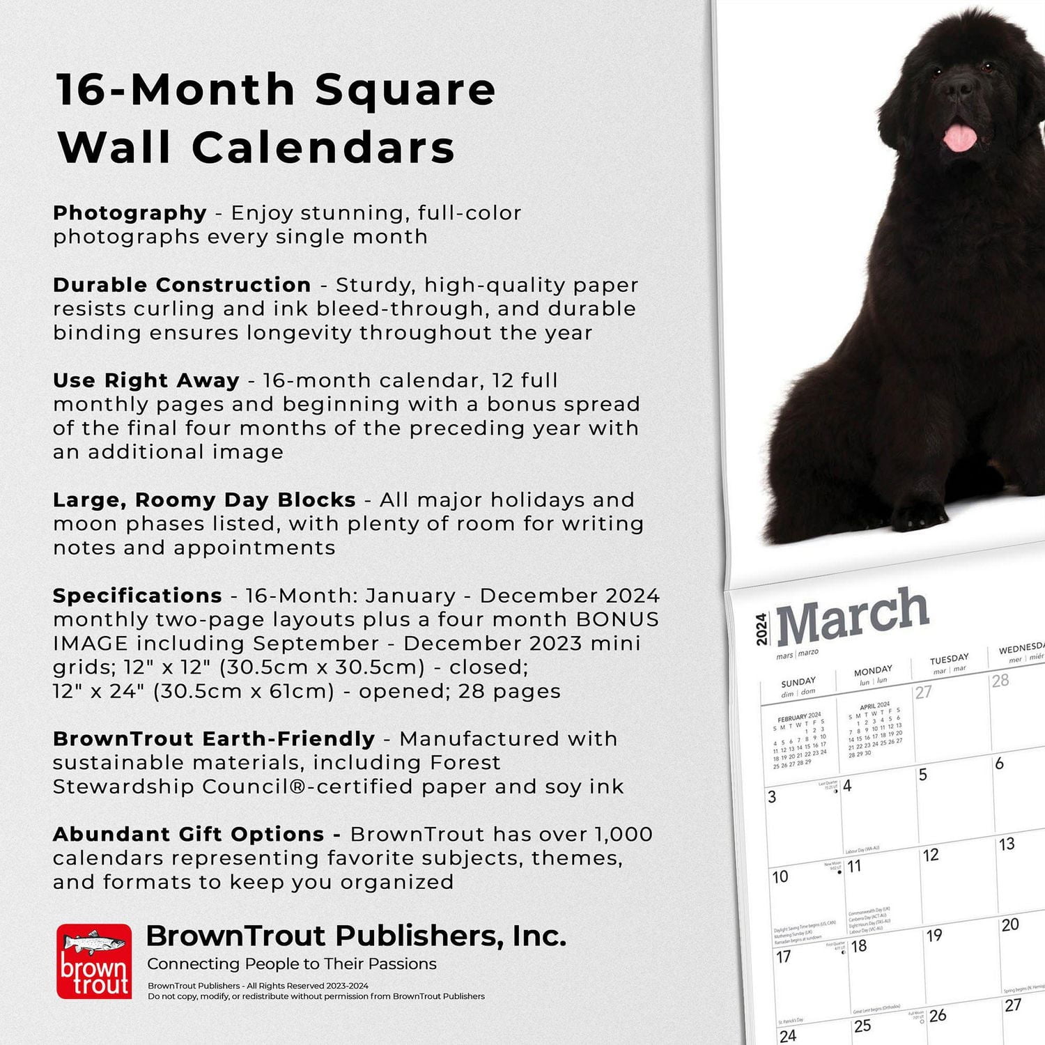 BrownTrout Terre-Neuve 2024 Mur Carré 30.48x60.96 CM, 9781975464295