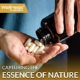 thumbnail image 4 of WELLNESS LABSRX Shilajit Capsules 15000mg, 120 Veggie Capsules, Organic Extract, 4 of 5
