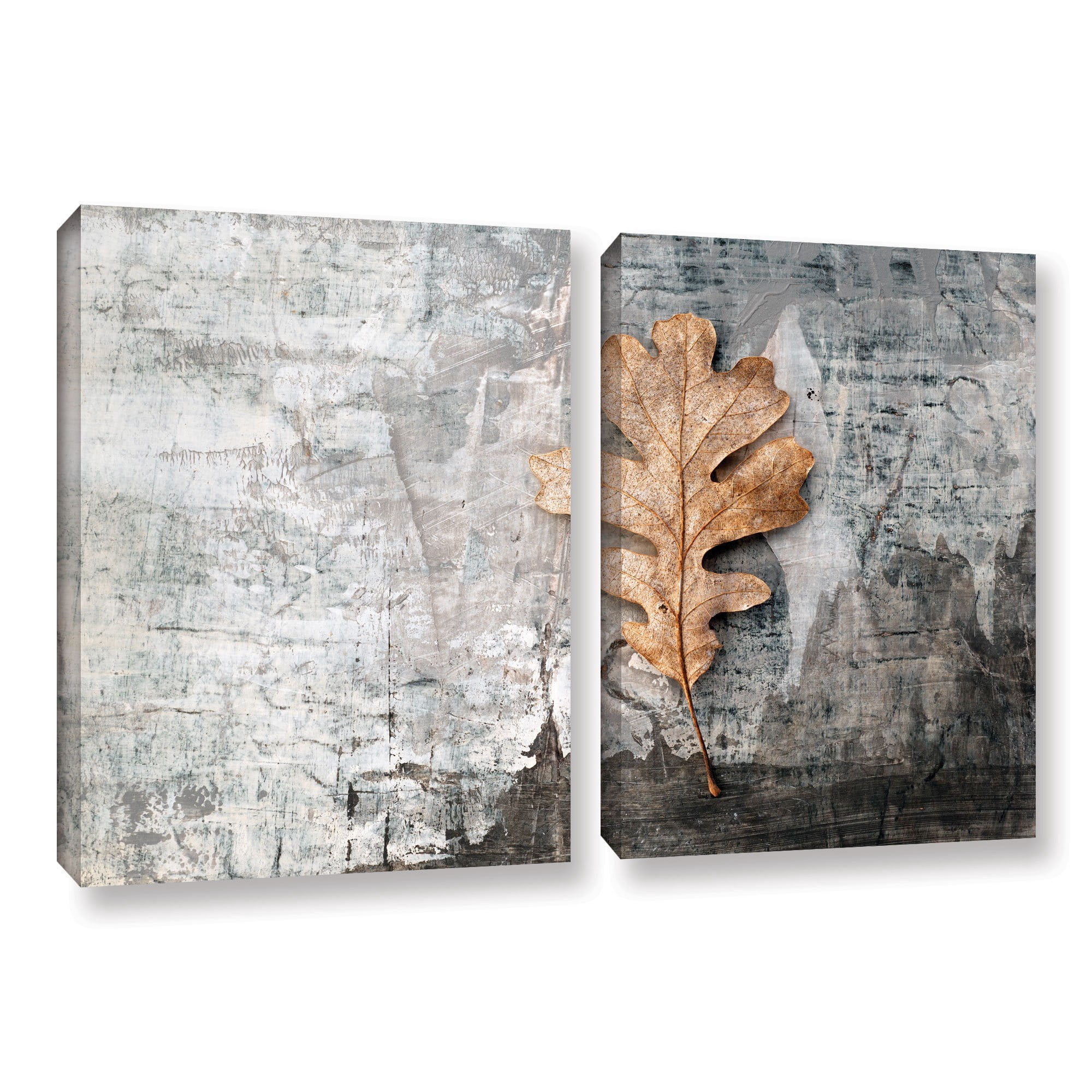 ArtWall Elena Ray "Still Life Leaf" 2-Piece Gallery-Wrapped Canvas Set