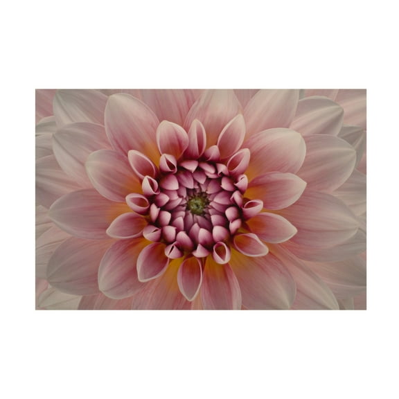 Canvas Wall Art - Richard Urbanski 'Blush' Wall Art for Living Room, Bedroom, or Office Décor by Trademark Fine Art - 19 x 12 Inches