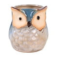 thumbnail image 2 of Cute Owl Ceramic Planter 2.6 Inch, Small Succulent Cactus Flower Pot for Indoor Outdoor Home Office Decor, Animal Style Tabletop Garden Decor Pot Gift, 2 of 6