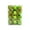 Green, variant on KCEHTA Christmas Ball Ornaments, 24 Pcs 1.18 inch Christmas Tree Ball Ornaments Shatterproof Plastic Christmas Tree Hanging Ornaments for Holiday Wedding Party Decorations