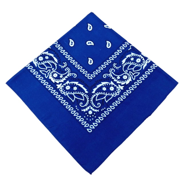 Eigraketly Pañuelo de poliéster Bufanda cuadrada de moda Paisley Diadema con patrón Pañuelo Accesorios multifuncionales Regalos Azul Type3 NO3 Eigraketly OD020405-13B