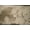 Taupe, variant on REBA Jacquard Fabric, 55 Inch. in Width | Home Decor, Avocado / Sample 3x3 Inch