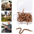 thumbnail image 5 of Fake Earthworm Soft Lures Lifelike Artificial Fishing Baits Silicone Earthworm Set1boxbrown, 5 of 5