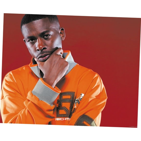 Gza Mini Poster 11inx17in 11x17 poster