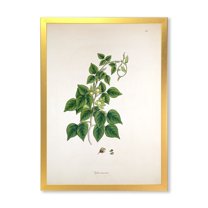 Designart 'Ancient London Plants VIII' Farmhouse Framed Art Print