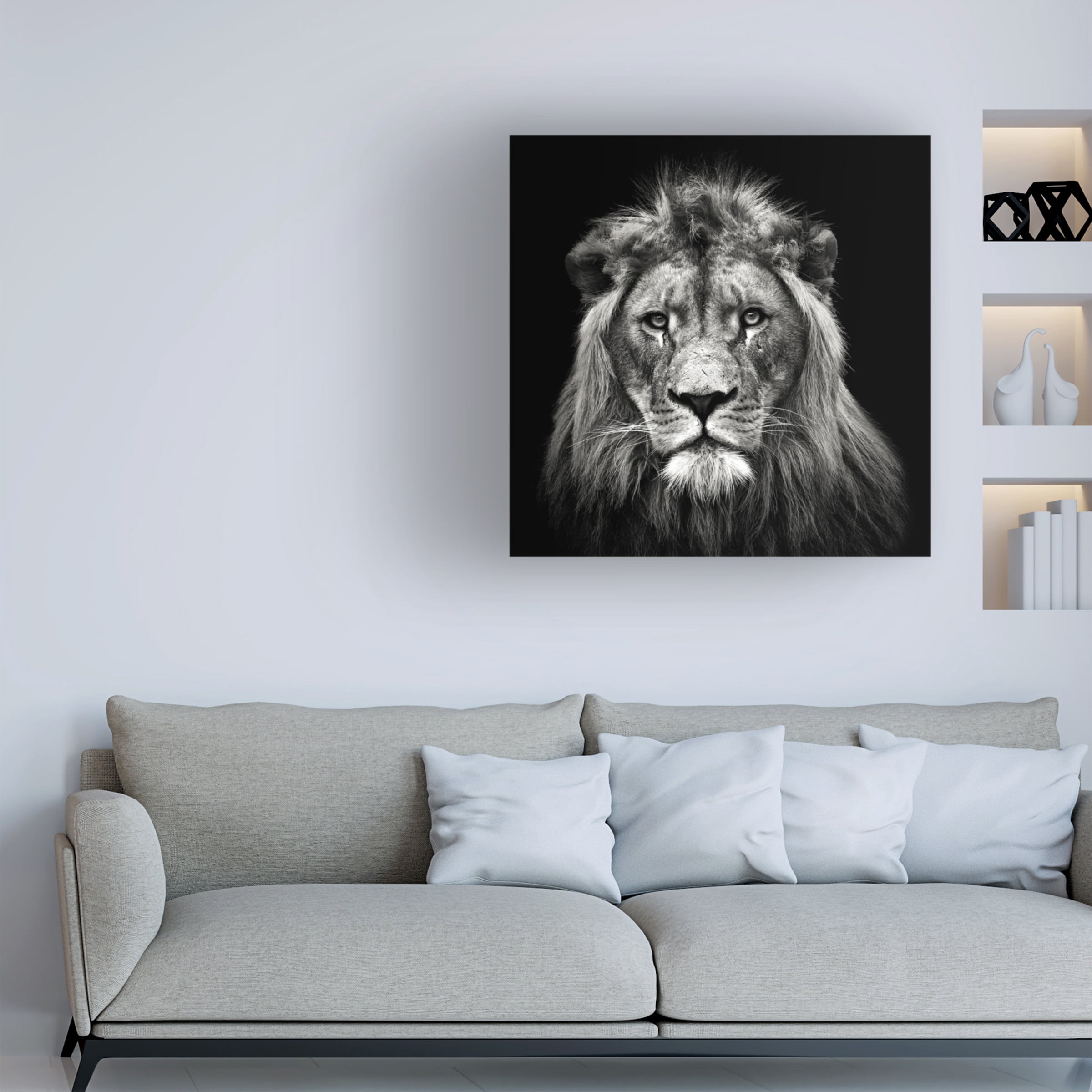 Christian Meermann 'Young Male Lion' Canvas Art