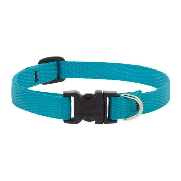 1/2in Aqua 8-12 Adj Dog Collar