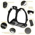 thumbnail image 3 of Jespet Padded Front Dog Harness, 3 of 7