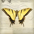 thumbnail image 3 of Melious, Amy 15x15 Black Modern Framed Museum Art Print Titled - Butterflies Script V, 3 of 5