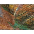 thumbnail image 4 of Ambesonne Fall Quilted Bedspread Set 3 Pcs, Vibrant Trees Pathway, Queen Size, Orange Yellow Green, 4 of 5