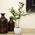 thumbnail image 3 of Flora Bunda Artificial Olive Tree in 14" Gray Cement Pot, 3 of 5