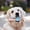 A, variant on Durable Plastic Dog Chew Toy with Rope Ball – Interactive Teeth Cleaning Toy for Aggressive Chewers – C