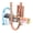1P, variant on Air Conditioning Four Way Reversing Valves for HVAC Systems Energy Efficient