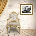 thumbnail image 3 of U.S. Archives 18x15 Gold Ornate Wood Framed with Double Matting Museum Art Print Titled - WWII Capt. Wendell O. Pruitt of the 15th Air Force, 3 of 4