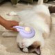 thumbnail image 5 of Cepillo de Aseo para Mascotas Cepillos Más Pulidos Portátiles de Autolimpieza para Perros Gatos ANGGREK Otros, 5 of 8