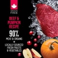 thumbnail image 3 of Nutrience Subzero Complete & Balanced Freeze-dried Dog Food - Beef & Pumpkin, 3 of 5