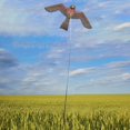 thumbnail image 4 of Bird Kite Hawk Single Line of Prey Scarer Light Weight Easy to Assemble Emulation Flying Drive Kite for Garden Yard Farm Flat Hawk Kite Free Line Rig Protect Farmers Crops Effectual, 4 of 8