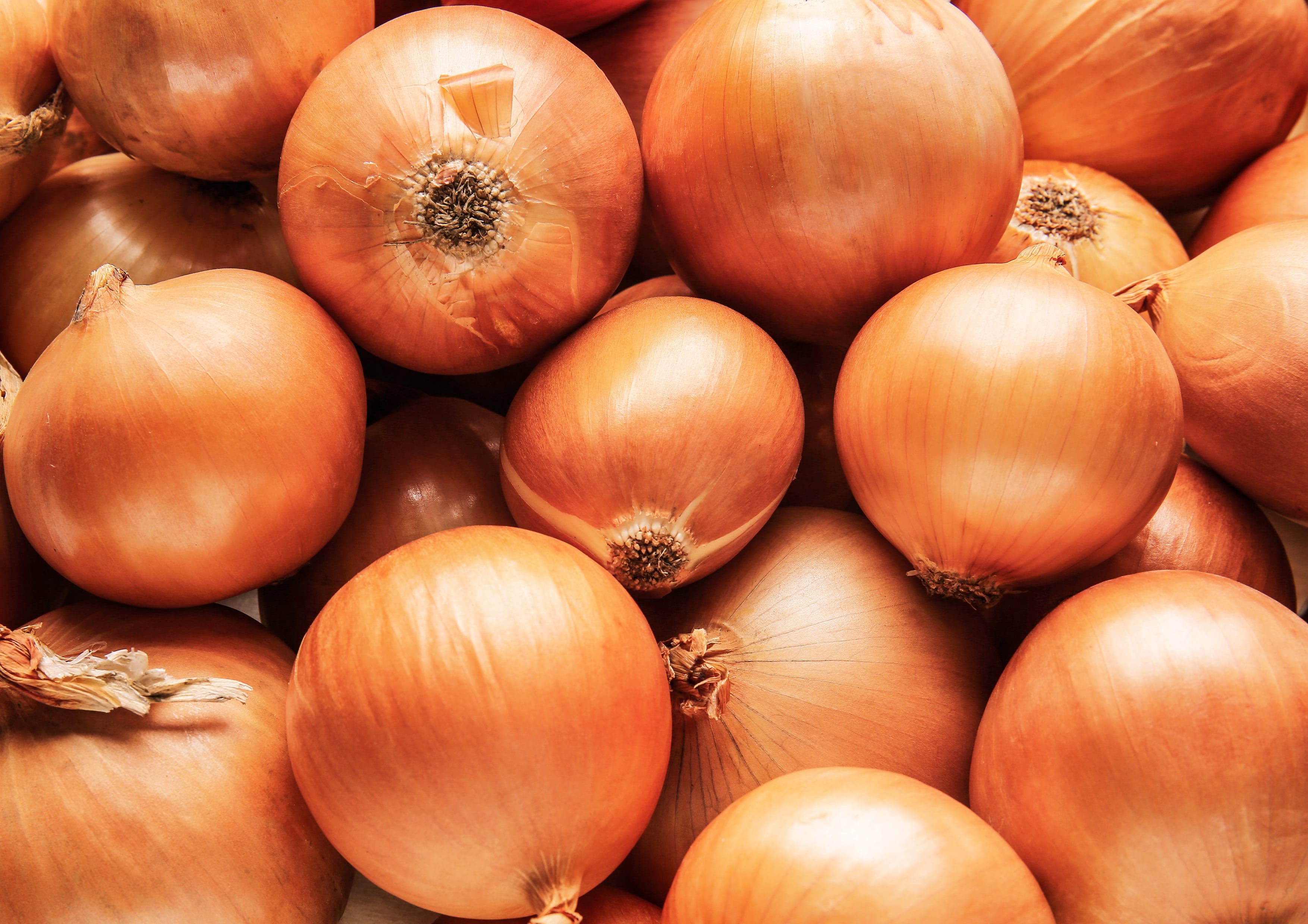 Onion Powder, 3 Pounds — Raw, Vegan — by Food to Live