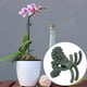 thumbnail image 4 of Clip de planta NikouMX 100 piezas Clip de soporte de planta, 4 of 8