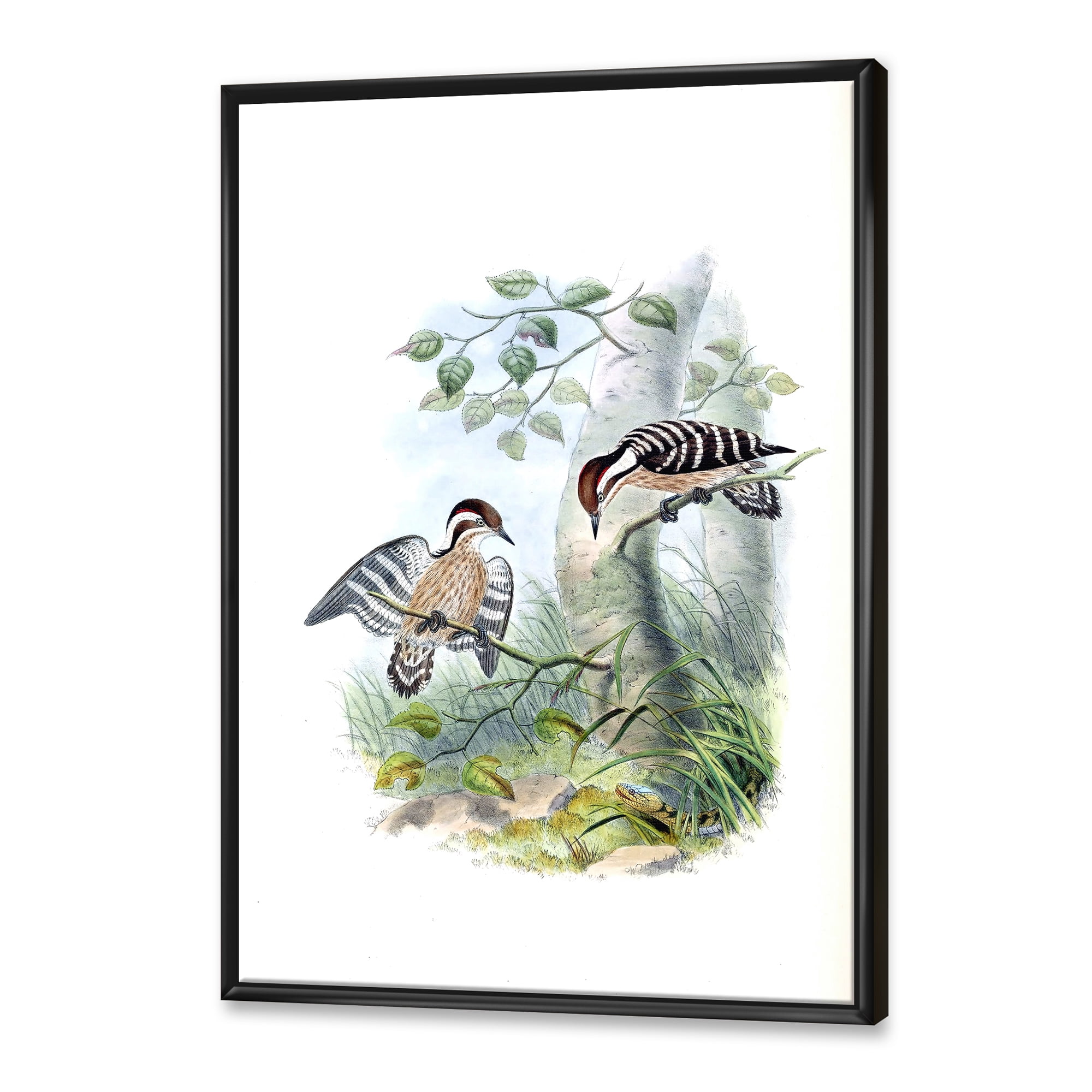 Ancient Birds In The Wild I 12 in x 20 in Framed Painting Canvas Art Print, by Designart