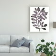 thumbnail image 3 of Trademark Fine Art 'Foliage Fossil VIII' Canvas Art by June Erica Vess, 3 of 4