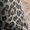 X232 Grey, variant on Bysome Pants For Girls Leopard Print Elastic Waist With Pockets Flared Trousers Fashion Girls Pants Size 5-6 Years Army Green