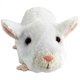thumbnail image 1 of Shelter Pets Serie uno: chunk The Rat - Peluche de peluche de rata siamés blanca de 10 "- Basado en mascotas adoptadas en la vida real - Beneficiando a los refugios de animales de los que fueron adopt Shelter Pets 797132982501, 1 of 1