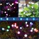 thumbnail image 1 of Solar Powered Firefly Lights Lawn Lamp Waterproof Outdoor Pathway Light Landscape Decorative Firefly Garden Lights Night Lights, 1 of 5